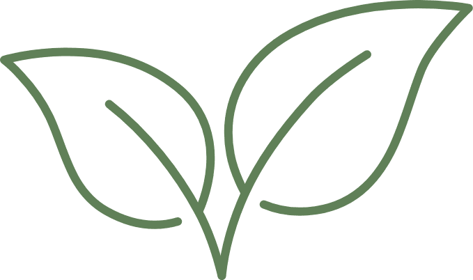 Green leaf